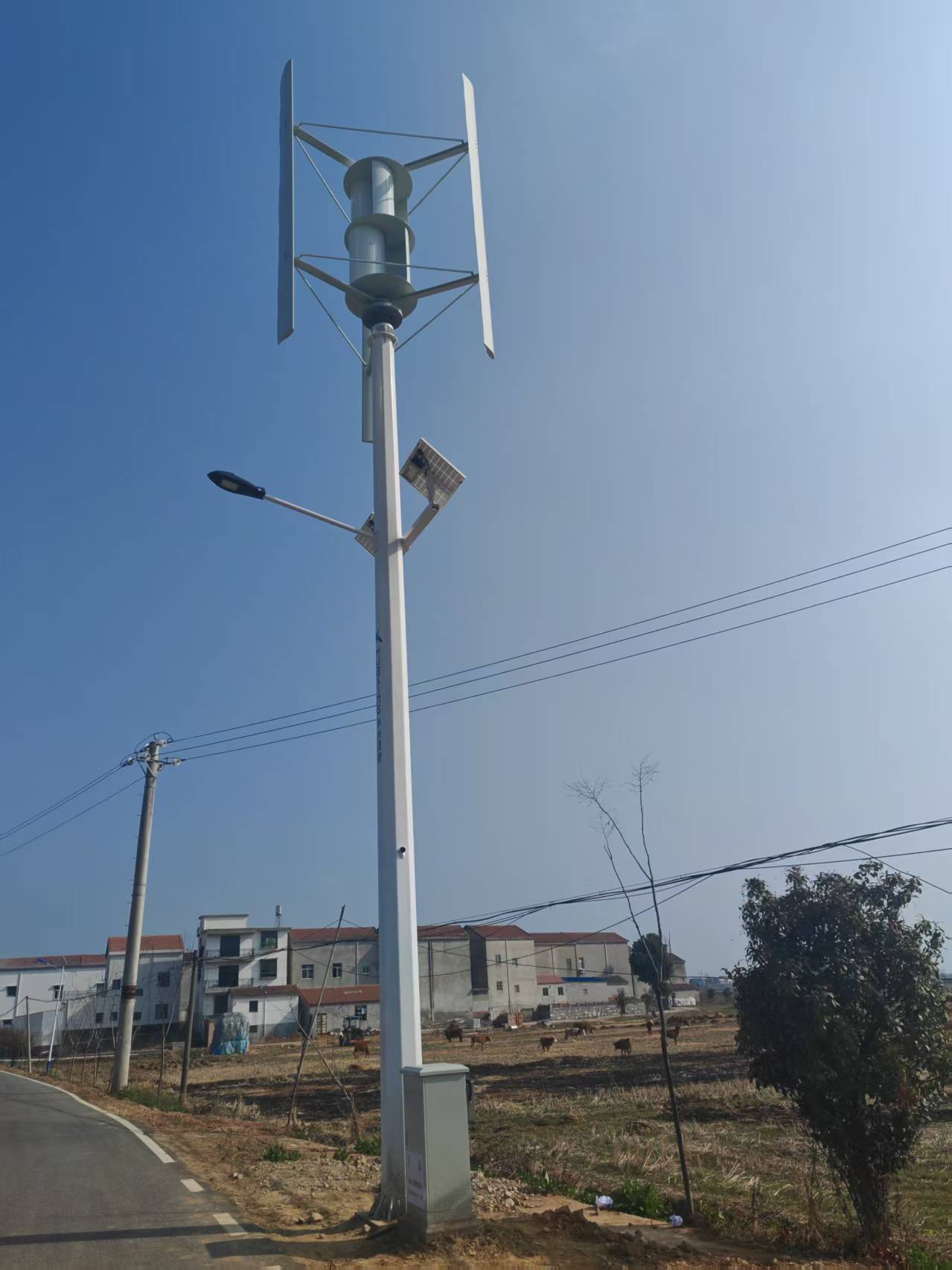 18 风光互补路灯2.jpg